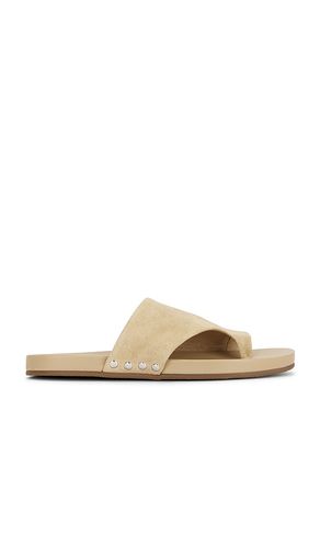Kessey Sandal in . Size 6. Also in 6.5, 7.5, 8, 8.5, 9.5, 10 - Steve Madden - Modalova