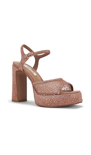 Liandra Platform Heels in . Size 11. Also in 6.5, 7, 7.5, 8, 8.5, 9, 9.5 - Steve Madden - Modalova