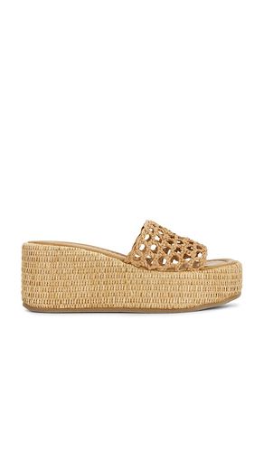 Brandy Sandal in . Size 10. Also in 8, 8.5, 9, 9.5 - Steve Madden - Modalova