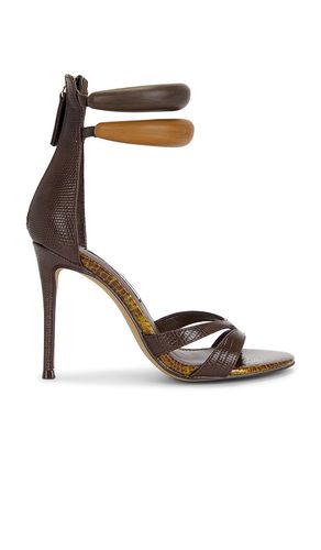 Tigress Sandal in . Size 6. Also in 6.5 - Steve Madden - Modalova