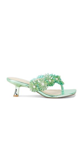 SANDALE LESLI in . Größe 6. Also in 6.5, 7, 7.5, 8, 8.5 - Steve Madden - Modalova