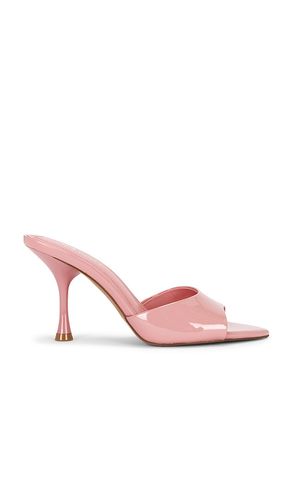 SANDALE ELSBETH in . Größe 6. Also in 6.5, 7.5, 8, 8.5, 9, 9.5, 10 - Steve Madden - Modalova