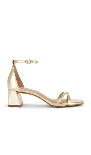 Rae Sandal in Metallic Gold. - size 10 (also in 8.5) - Steve Madden - Modalova
