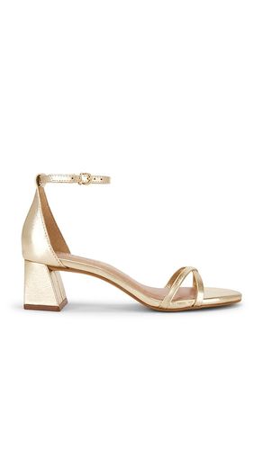 Rae Sandal in Metallic Gold. - size 6 (also in 7) - Steve Madden - Modalova