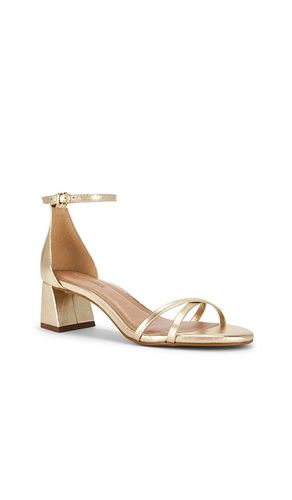 Rae Sandal in Metallic Gold. - size 6 (also in 7) - Steve Madden - Modalova