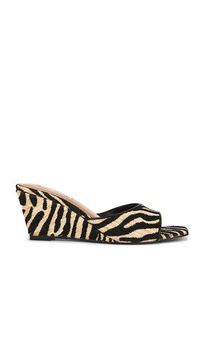 Seleste Sandal in ,. Size 5.5. Also in 6 - Steve Madden - Modalova