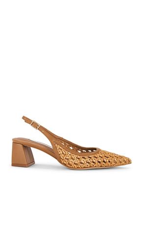 Robyn Pump in . Taglia 6. Also in 6.5, 8.5 - Steve Madden - Modalova