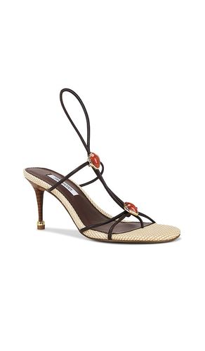 Ramos Strappy Sandal in . Size 10. Also in 8, 9.5 - Steve Madden - Modalova