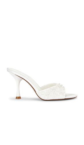 Santi Sandal in Ivory. - size 10 (also in 9) - Steve Madden - Modalova