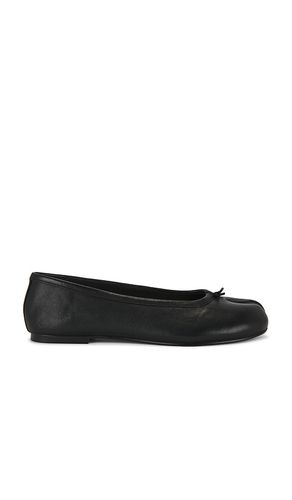 Calico Ballet Flat in Black. - size 10 (also in 6.5, 9) - Steve Madden - Modalova