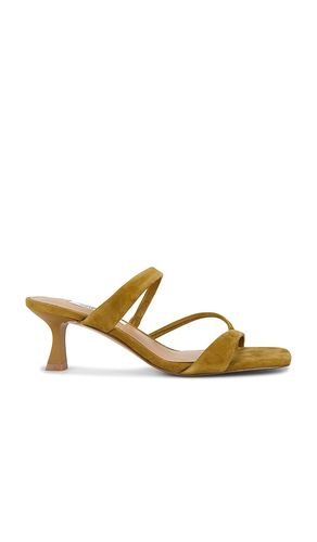 Ajay Sandal in . Size 10. Also in 8, 8.5, 9, 9.5 - Steve Madden - Modalova