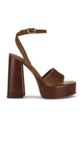 Floria Sandal in . Size 10. Also in 8, 8.5, 9, 9.5 - Steve Madden - Modalova