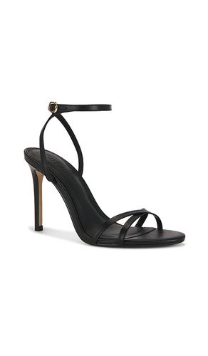 Jypsey Heel in . - size 7.5 (also in 9.5) - Steve Madden - Modalova