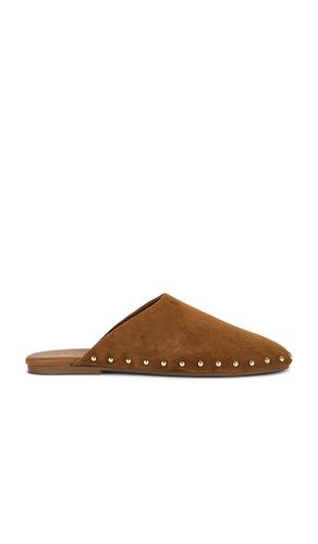 Pearson Flat in Chestnut Suede in . Size 10. Also in 6, 6.5, 7, 7.5, 8, 8.5, 9 - Steve Madden - Modalova