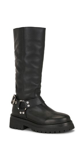 BOOT EVEREST in . Größe 10. Also in 6, 6.5, 7.5, 8, 8.5 - Steve Madden - Modalova