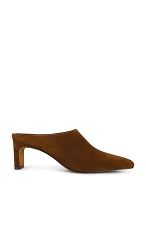 PUMPS JAMASON MULE in . Größe 10. Also in 6, 6.5, 7.5, 8, 8.5, 9, 9.5 - Steve Madden - Modalova