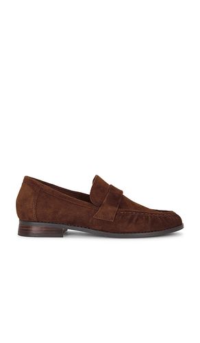 Ronie Loafer in Chocolate. - size 6 (also in 6.5, 7, 7.5, 8, 8.5, 9, 9.5, 10) - Steve Madden - Modalova
