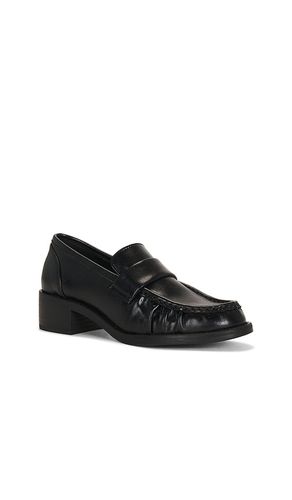 PUMPS ALTMAN in . Größe 10. Also in 6, 6.5, 7, 7.5, 8, 8.5, 9, 9.5 - Steve Madden - Modalova