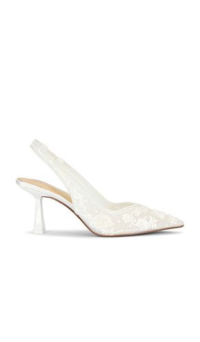 PUMPS NIKKI in . Größe 8. Also in 7 - Steve Madden - Modalova