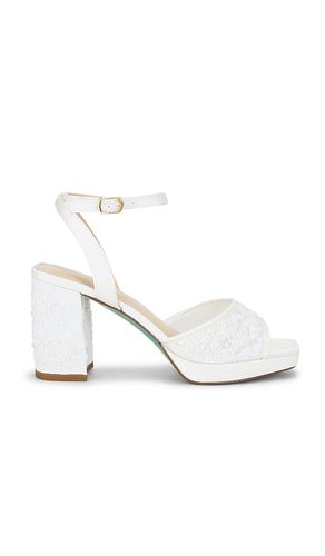 PUMPS JUNIE in . Größe 10. Also in 6.5, 7.5, 9.5 - Steve Madden - Modalova