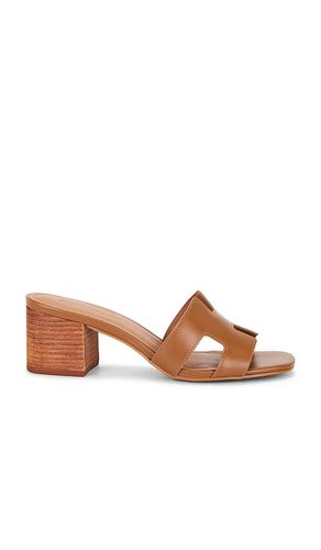 Hana Sandal in . - size 8.5 (also in 9.5) - Steve Madden - Modalova