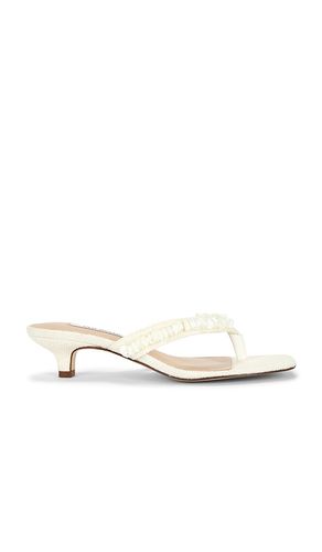 Tracie Shell Sandal in . Size 10. Also in 7.5, 9 - Steve Madden - Modalova
