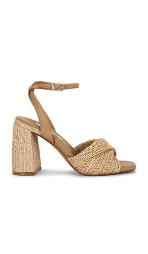 Mandy Sandal in . Size 10. Also in 8.5, 9, 9.5 - Steve Madden - Modalova