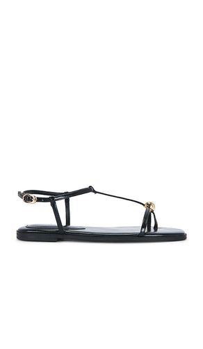 Ritzy Sandal in . Size 6. Also in 6.5, 7, 7.5, 8, 8.5, 9, 9.5, 10 - Steve Madden - Modalova