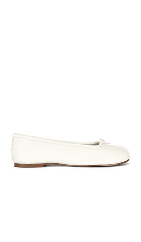 Calico Flat in . Size 10. Also in 8.5, 9, 9.5 - Steve Madden - Modalova