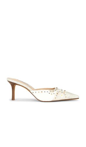 PANTOLETTE ALEXI in . Größe 10. Also in 6, 6.5, 7, 7.5, 8, 8.5, 9, 9.5 - Steve Madden - Modalova