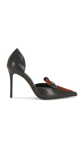 PUMPS DELPHINI in . Größe 10. Also in 6, 6.5, 7, 7.5, 8, 8.5, 9, 9.5 - Steve Madden - Modalova