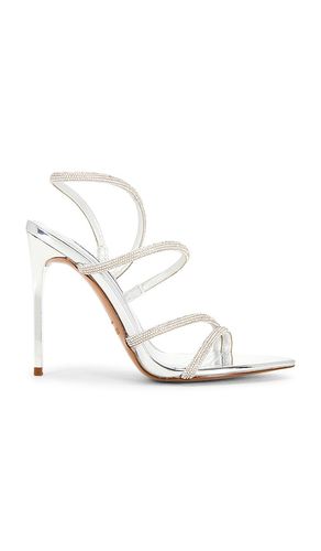 SANDALE SWALLA in . Größe 10. Also in 6, 6.5, 7, 7.5, 8, 8.5, 9, 9.5 - Steve Madden - Modalova