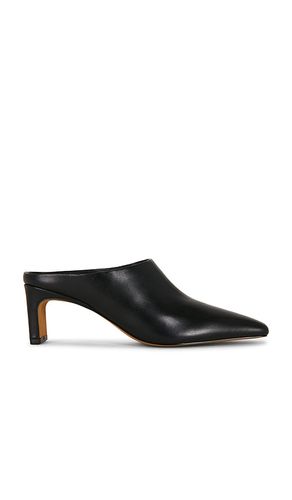 PUMPS JAMASON MULE in . Größe 10. Also in 6, 6.5, 7, 7.5, 8, 8.5, 9, 9.5 - Steve Madden - Modalova