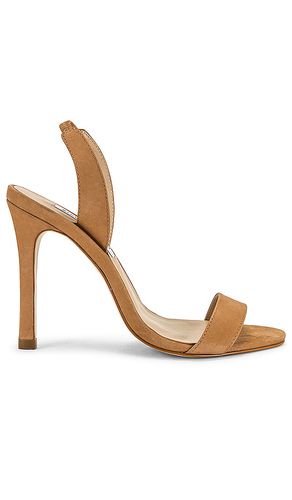 Marbella Sandal in Tan. - size 10 (also in 8.5, 9.5) - Steve Madden - Modalova