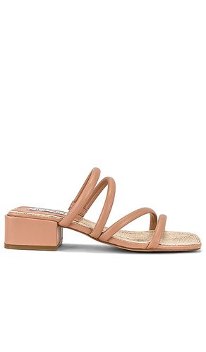 Citizen Sandal in Tan. - size 6 (also in 7.5) - Steve Madden - Modalova