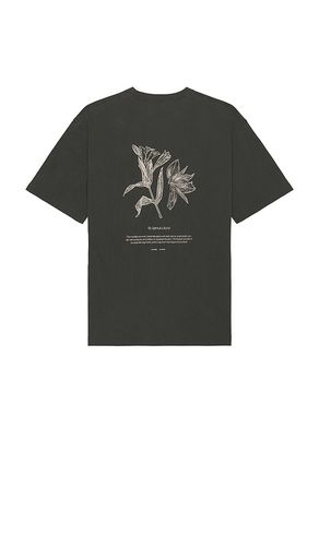 Salilium T-Shirt in Grey. - size L (also in M, S, XL/1X) - SAMSOE SAMSOE - Modalova