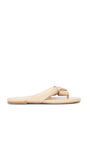 Gigi Sandal in Beige. - size 10 (also in 6, 7, 8, 9) - Solei Sea - Modalova