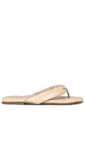 Gisel Sandal in Nude. - size 7 (also in 9) - Solei Sea - Modalova