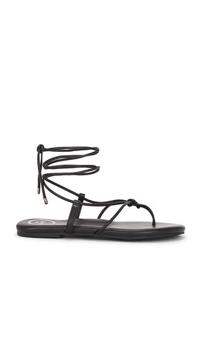 Angie Sandal in . - size 6 (also in 7, 8, 9) - Solei Sea - Modalova