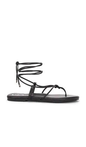 Angie Sandal in . Size 7. Also in 9 - Solei Sea - Modalova