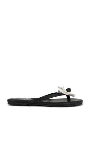 Valentina Sandal in . - size 6 (also in 8, 9) - Solei Sea - Modalova