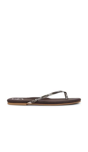 Indie Copa Sandal in . - size 10 (also in 11, 6, 7, 8, 9) - Solei Sea - Modalova