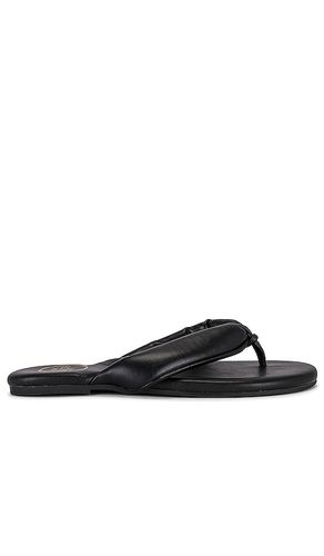 Gisel Sandal in Black. - size 6 (also in 10, 7, 8, 9) - Solei Sea - Modalova