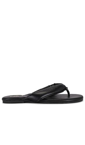 Gisel Sandal in Black. - size 7 (also in 8) - Solei Sea - Modalova