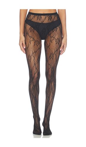 SPITZENSTRUMPFHOSE NOVA in . Größe S. Also in M, L, XL - SWEDISH STOCKINGS - Modalova