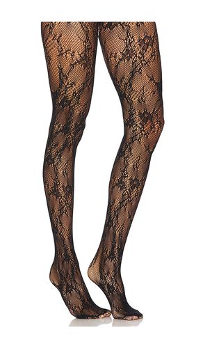 Marisol Lace Tights in - superdown - Modalova