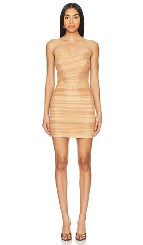 Sonya Bustier Mesh Dress in . - size L (also in M, XS, XXS) - superdown - Modalova