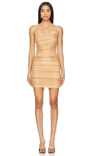 Sonya Bustier Mesh Dress in . - size M (also in S, XS) - superdown - Modalova