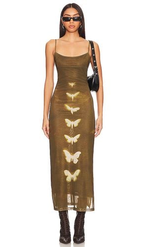 Jocelyn Butterfly Maxi Dress in . - size L (also in M) - superdown - Modalova