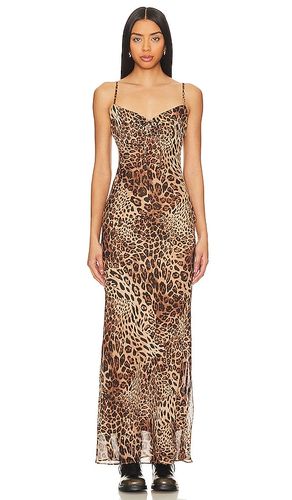 Dexi Maxi Dress in Brown. - size XS (also in XXS) - superdown - Modalova